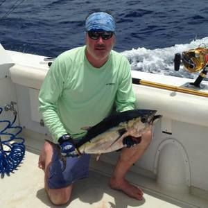 Meet your Posher, Noel